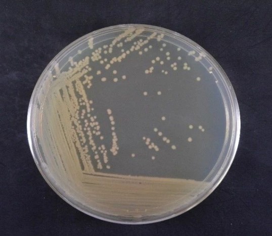 cd4eb91c53de1eb62d6649cff532196d.jpg