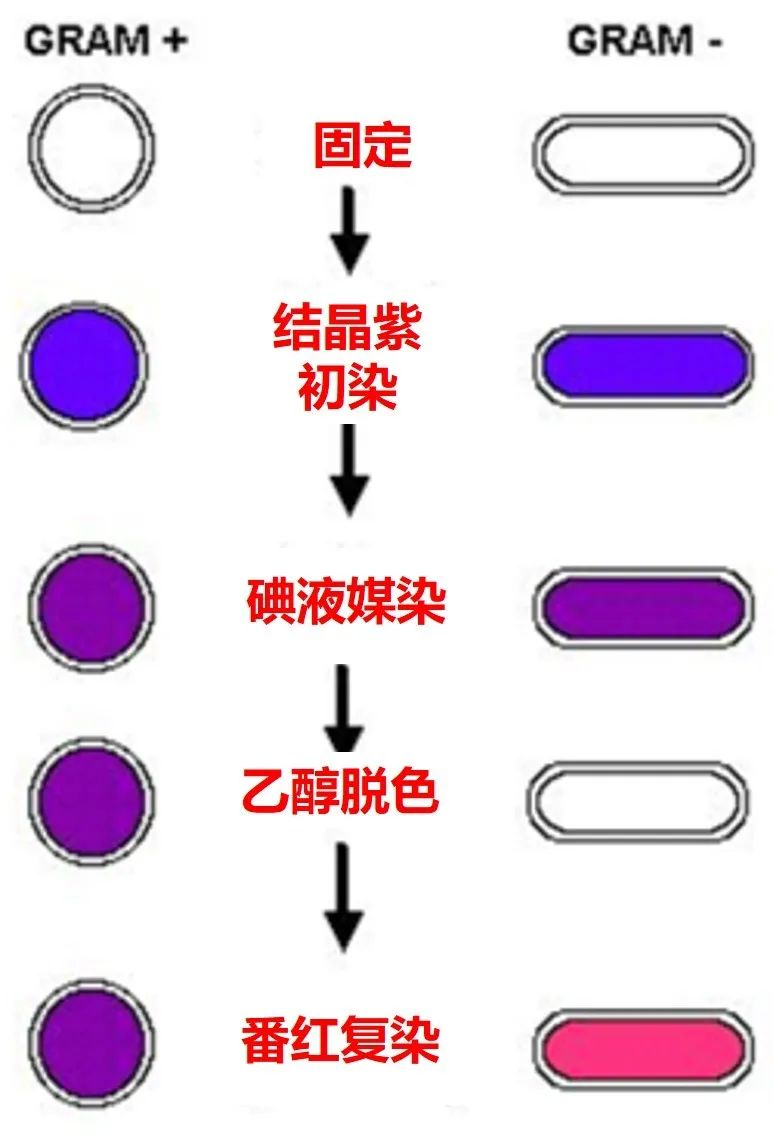 550536bb190dc67fe8b8e1b9ccf7d8db.png